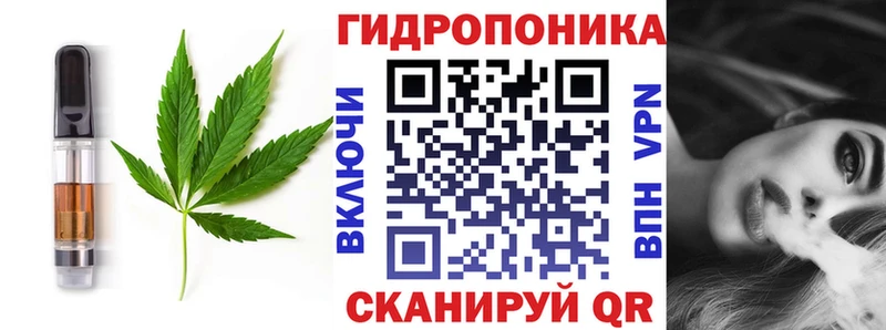 shop Telegram  Велиж  Еда ТГК конопля  кракен зеркало 