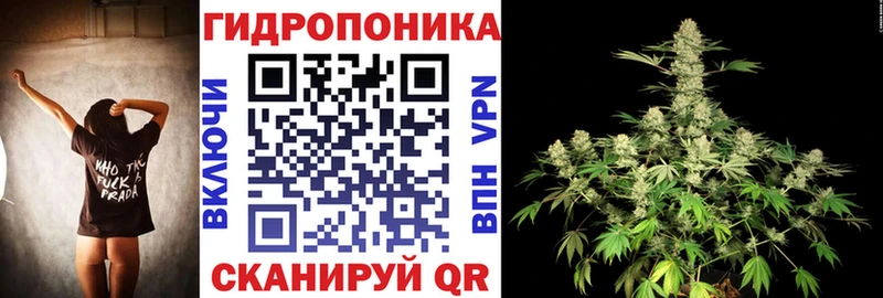 дарнет шоп  гидра ТОР  МАРИХУАНА SATIVA & INDICA  Велиж 